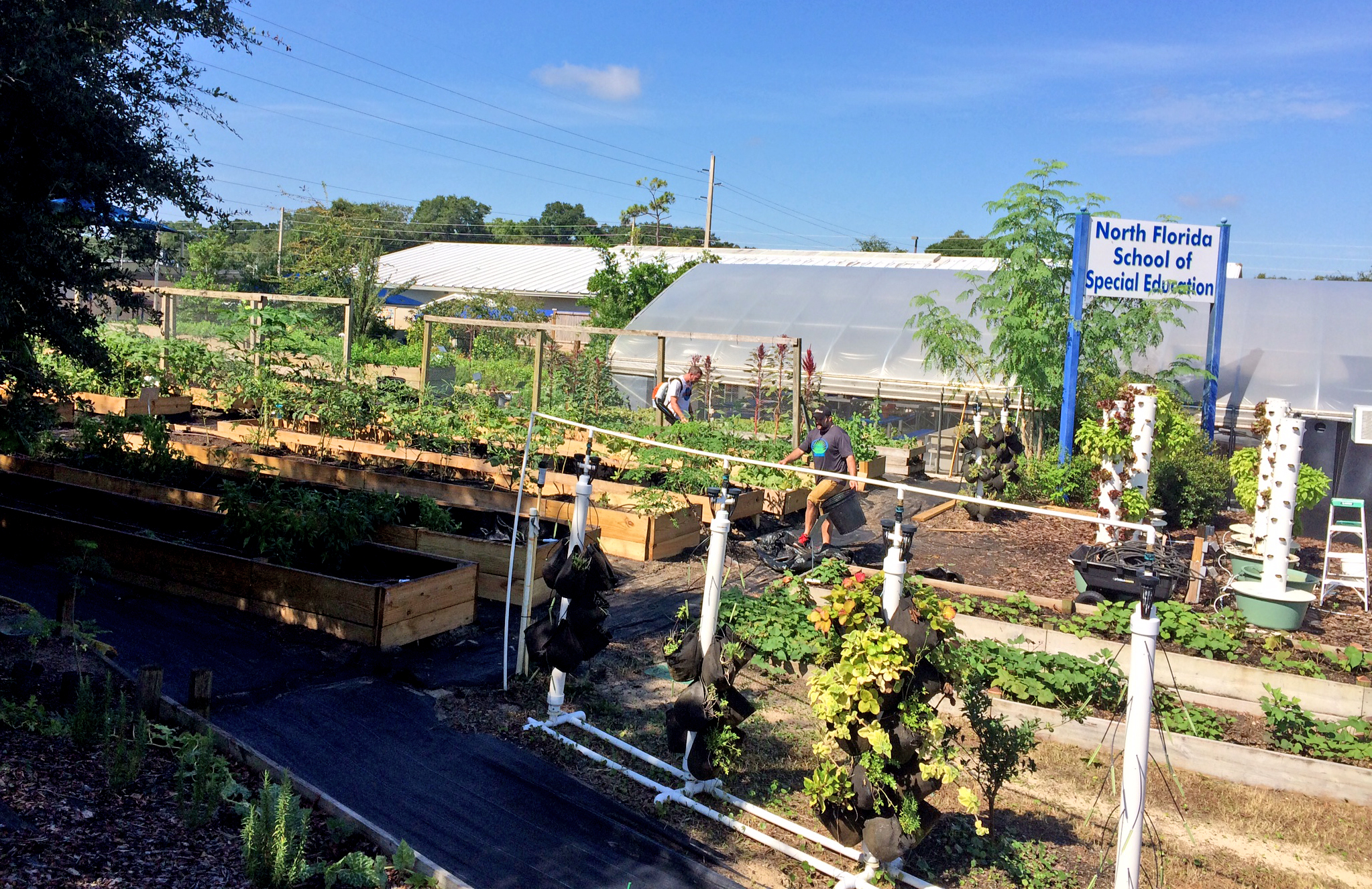 Our Farm Story - Berry Good Farms