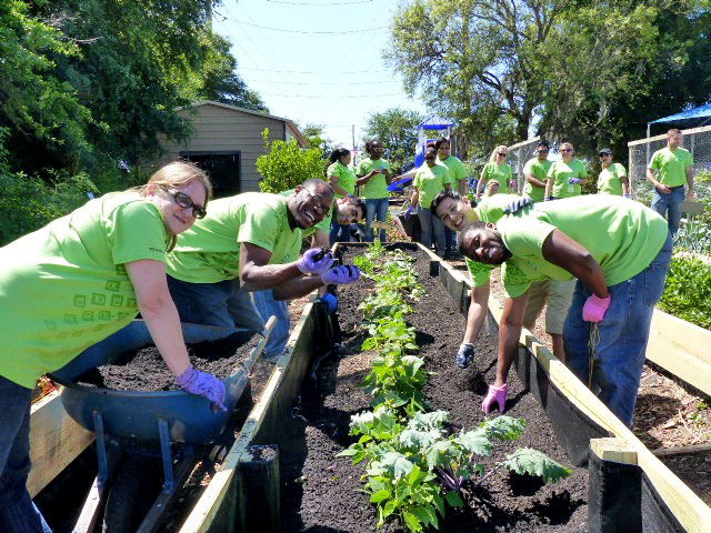 volunteer-berry-good-farms